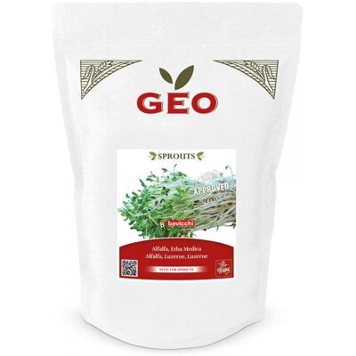 ALTRO Semi Di Erba Medica Per Germogli 500g ALTRO Semi Di Erba Medica Per Germogli 500g