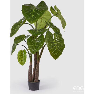 EDG Enzo De Gasperi Alocasia Con Vaso Artificiale H 210 Cm Green EDG Enzo De Gasperi Alocasia Con Vaso Artificiale H 210 Cm Green
