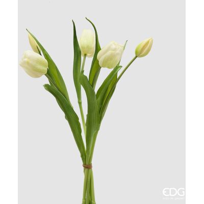 EDG Enzo De Gasperi Bouquete Tulipano Chiuso X4 H 40 Cm Con Bocciolo Bianco Verde EDG Enzo De Gasperi Bouquete Tulipano Chiuso X4 H 40 Cm Con Bocciolo Bianco Verde