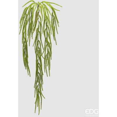 EDG Enzo De Gasperi Pianta Artificiale Amaranthus Cadente H 110 Cm – Pianta Decorativa Verde Realistica Design Moderno EDG Enzo De Gasperi Pianta Artificiale Amaranthus Cadente H 110 Cm – Pianta Decorativa Verde Realistica Design Moderno