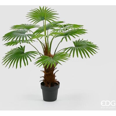 EDG Enzo De Gasperi Palma Cameruys Con Vaso Artificiale H 100 Cm Green EDG Enzo De Gasperi Palma Cameruys Con Vaso Artificiale H 100 Cm Green