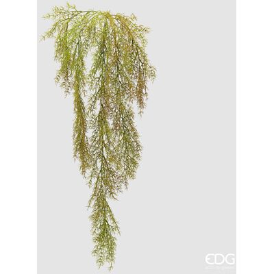 EDG Enzo De Gasperi Pianta Artificiale Erba Palustre Cadente H 106 Cm Olive – Pianta Decorativa Realistica Design Moderno EDG Enzo De Gasperi Pianta Artificiale Erba Palustre Cadente H 106 Cm Olive – Pianta Decorativa Realistica Design Moderno