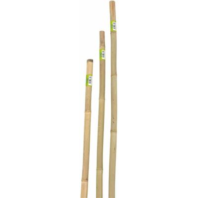 VERDEMAX Canna Bamboo Piena H150cm 22/24 Mm VERDEMAX Canna Bamboo Piena H150cm 22/24 Mm