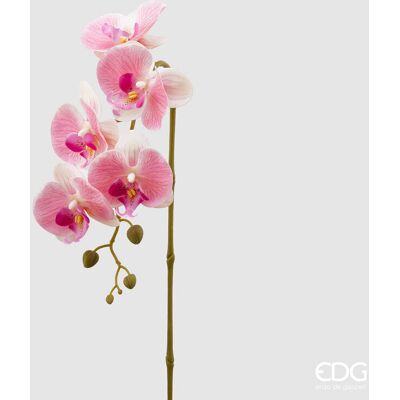 EDG Enzo De Gasperi Orchidea Phalaenopsis Olis Ramo 3d X5 Artificiale H 70 Cm White Pink EDG Enzo De Gasperi Orchidea Phalaenopsis Olis Ramo 3d X5 Artificiale H 70 Cm White Pink