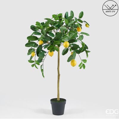 EDG Enzo De Gasperi Limone Anti-uv X9 Con Vaso Pianta Artificiale H 125 Cm Verde Giallo EDG Enzo De Gasperi Limone Anti-uv X9 Con Vaso Pianta Artificiale H 125 Cm Verde Giallo