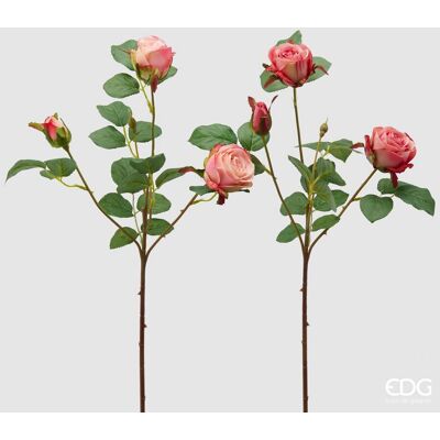 EDG Enzo De Gasperi Rosa Olga Olis Ramo Ass. H 62 Cm Pianta Artificiale Rosa 1 Pz EDG Enzo De Gasperi Rosa Olga Olis Ramo Ass. H 62 Cm Pianta Artificiale Rosa 1 Pz