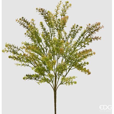 EDG Enzo De Gasperi Pianta Artificiale Erba Palustre Cespuglio H 55 Cm Yellow Green – Pianta Decorativa Realistica Design Moderno EDG Enzo De Gasperi Pianta Artificiale Erba Palustre Cespuglio H 55 Cm Yellow Green – Pianta Decorativa Realistica Design Moderno