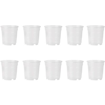 ALTRO 10 Vasi Per Orchidee Ø14cm Completamente Trasparenti Promo ALTRO 10 Vasi Per Orchidee Ø14cm Completamente Trasparenti Promo