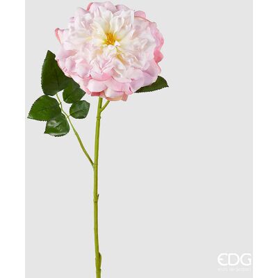 EDG Enzo De Gasperi Rosa Jumbo Ramo Con Foglie H 80 Cm D 18 Cm Pianta Artificiale Colore Crema Rosa EDG Enzo De Gasperi Rosa Jumbo Ramo Con Foglie H 80 Cm D 18 Cm Pianta Artificiale Colore Crema Rosa