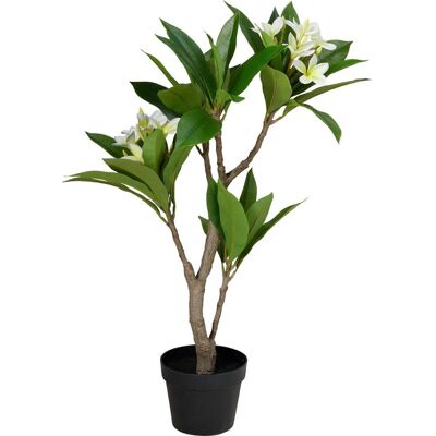 ALTRO Pianta Di Plumeria Frangipani Artificiale In Vaso D17 H45cm Bianco Giallo Peraga Home ALTRO Pianta Di Plumeria Frangipani Artificiale In Vaso D17 H45cm Bianco Giallo Peraga Home