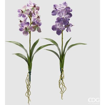 EDG Enzo De Gasperi Cespuglio Orchidea Vanda Artificiale Con Foglio H 70 Cm Ass. Violet 1 Pz EDG Enzo De Gasperi Cespuglio Orchidea Vanda Artificiale Con Foglio H 70 Cm Ass. Violet 1 Pz