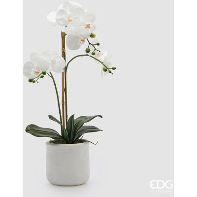 EDG Enzo De Gasperi Orchidea Phalaenopsis X3 Con Foglie E Vaso H 56 Cm Pianta Artificiale Bianco EDG Enzo De Gasperi Orchidea Phalaenopsis X3 Con Foglie E Vaso H 56 Cm Pianta Artificiale Bianco