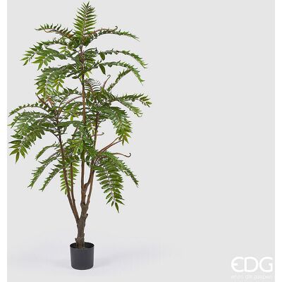 EDG Enzo De Gasperi Ailanto Con Vaso Artificiale H 150 Cm Green EDG Enzo De Gasperi Ailanto Con Vaso Artificiale H 150 Cm Green