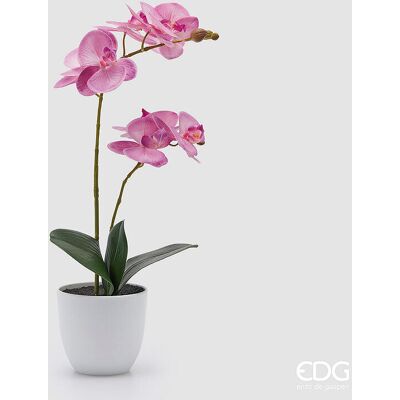 EDG Enzo De Gasperi Orchidea Phalaenopsis Con Vaso E Foglie H 50 Cm Pianta Artificiale Fuchsia EDG Enzo De Gasperi Orchidea Phalaenopsis Con Vaso E Foglie H 50 Cm Pianta Artificiale Fuchsia