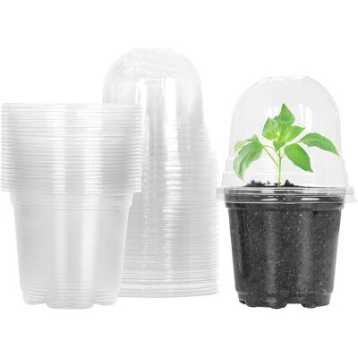 AULEDIO Vasi Per Piante, 10 Pezzi, Vasi Trasparenti Con Coperchi, Diametro 9 Cm, Vasi In Plastica Per Succulente E Piantine AULEDIO Vasi Per Piante, 10 Pezzi, Vasi Trasparenti Con Coperchi, Diametro 9 Cm, Vasi In Plastica Per Succulente E Piantine