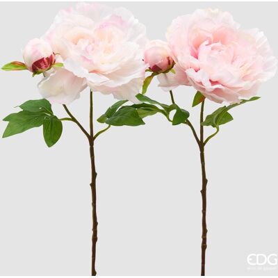 EDG Ramo Peonia Real Bianco Con Bocciolo H 54 EDG Ramo Peonia Real Bianco Con Bocciolo H 54