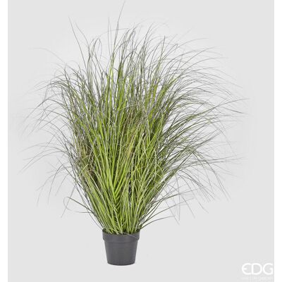 EDG Enzo De Gasperi Festuca Con Vaso Artificiale H 142 Cm Green Pink EDG Enzo De Gasperi Festuca Con Vaso Artificiale H 142 Cm Green Pink