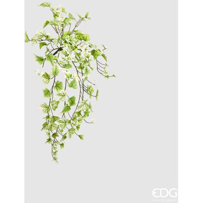 EDG Enzo De Gasperi Edera Bell Cadente X144 H 71 Cm Pianta Artificiale Verde Chiaro EDG Enzo De Gasperi Edera Bell Cadente X144 H 71 Cm Pianta Artificiale Verde Chiaro