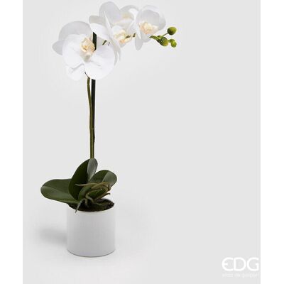 EDG Enzo De Gasperi Orchidea Phalaenopsis Real Con Vaso Artificiale H 40 Cm White EDG Enzo De Gasperi Orchidea Phalaenopsis Real Con Vaso Artificiale H 40 Cm White