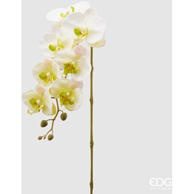 EDG Enzo De Gasperi Orchidea Phalaenopsis Olis Ramo 3d X7 Artificiale H 85 Cm White Yellow EDG Enzo De Gasperi Orchidea Phalaenopsis Olis Ramo 3d X7 Artificiale H 85 Cm White Yellow