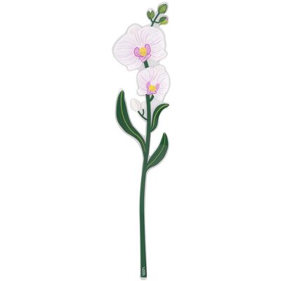 ALTRO Orchidea Piccola Funny Flowers 9,8 X 46 Cm Bianco Vesta Home ALTRO Orchidea Piccola Funny Flowers 9,8 X 46 Cm Bianco Vesta Home
