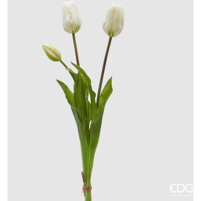 EDG Enzo De Gasperi Tulipano Gommato Olis 3 Rami H 48 Cm Bianco 1 Cf EDG Enzo De Gasperi Tulipano Gommato Olis 3 Rami H 48 Cm Bianco 1 Cf