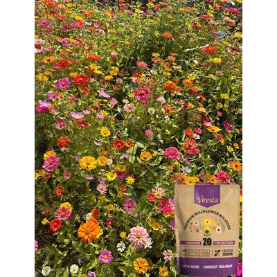 AULEDIO Semi Di Fiori Selvatici 20000 Pcs – Miscela Per Giardino, Attrae Api E Farfalle, Facile Coltivazione AULEDIO Semi Di Fiori Selvatici 20000 Pcs – Miscela Per Giardino, Attrae Api E Farfalle, Facile Coltivazione