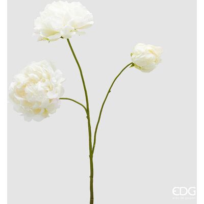 EDG Enzo De Gasperi Peonia Ramo X3 Con H 67 Cm Pianta Artificiale Colore Avorio EDG Enzo De Gasperi Peonia Ramo X3 Con H 67 Cm Pianta Artificiale Colore Avorio