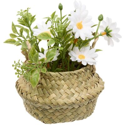 ATMOSPHERA Composizione Di Margherite Tifi H17cm - Créateur D'Intérieur ATMOSPHERA Composizione Di Margherite Tifi H17cm - Créateur D'Intérieur