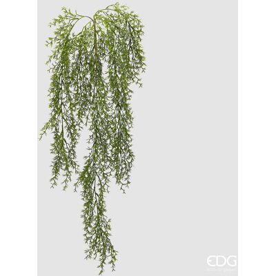 EDG Enzo De Gasperi Pianta Artificiale Erba Palustre Cadente H 106 Cm – Pianta Decorativa Verde Realistica Design Moderno EDG Enzo De Gasperi Pianta Artificiale Erba Palustre Cadente H 106 Cm – Pianta Decorativa Verde Realistica Design Moderno