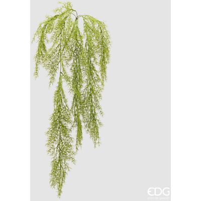 EDG Enzo De Gasperi Pianta Artificiale Erba Palustre Cadente H 106 Cm Light Green – Pianta Decorativa Realistica Design Moderno EDG Enzo De Gasperi Pianta Artificiale Erba Palustre Cadente H 106 Cm Light Green – Pianta Decorativa Realistica Design Moderno