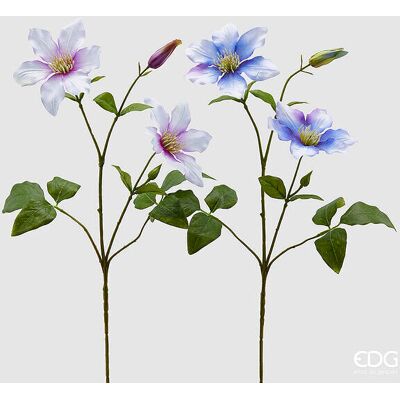 EDG Enzo De Gasperi Clematis Con Foglie 2 Rami Con Bocciolo 2 Pz Assortiti EDG Enzo De Gasperi Clematis Con Foglie 2 Rami Con Bocciolo 2 Pz Assortiti