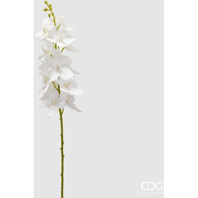 EDG Enzo De Gasperi Orchidea Vanda Ramo Artificiale H 70 Cm White EDG Enzo De Gasperi Orchidea Vanda Ramo Artificiale H 70 Cm White
