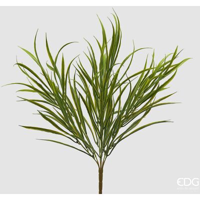 EDG Enzo De Gasperi Pianta Artificiale Festuca Cespuglio H 53 Cm Verde – Pianta Decorativa Realistica Design Moderno EDG Enzo De Gasperi Pianta Artificiale Festuca Cespuglio H 53 Cm Verde – Pianta Decorativa Realistica Design Moderno