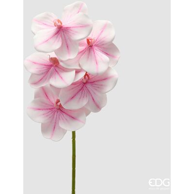 EDG Enzo De Gasperi Orchidea Vanda Ramo H 65 Cm Pianta Artificiale Bianco Rosa EDG Enzo De Gasperi Orchidea Vanda Ramo H 65 Cm Pianta Artificiale Bianco Rosa