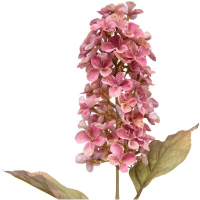 ATMOSPHERA Fiore Artificiale Di Seta Fria H66cm - Créateur D'Intérieur ATMOSPHERA Fiore Artificiale Di Seta Fria H66cm - Créateur D'Intérieur