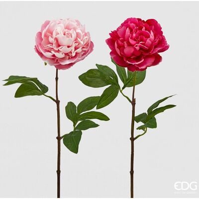 EDG Enzo De Gasperi Peonia Olis Ramo H 65 Cm Fucsia O Rosa 1pz EDG Enzo De Gasperi Peonia Olis Ramo H 65 Cm Fucsia O Rosa 1pz