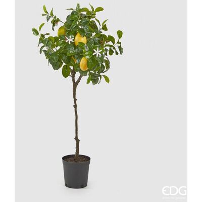 EDG Enzo De Gasperi Pianta Artificiale Di Limoni Duke Con Vaso Pvc H 102 Cm Giallo Verde EDG Enzo De Gasperi Pianta Artificiale Di Limoni Duke Con Vaso Pvc H 102 Cm Giallo Verde