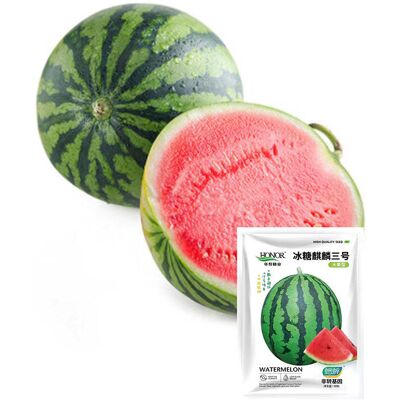 AULEDIO Semi Anguria 60 Pezzi/2 Sacchetti, Semi Melone Dolce Orto Kirin No.3 AULEDIO Semi Anguria 60 Pezzi/2 Sacchetti, Semi Melone Dolce Orto Kirin No.3