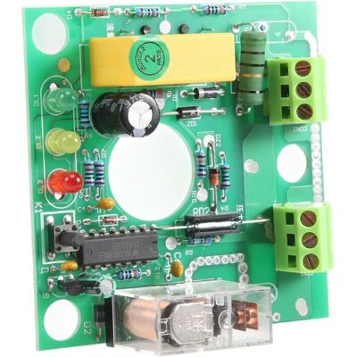 SCORPIO Interruttore Elettronico Per Pompe Dell'acqua Automatiche, Controllo Della Pressione 10a, Circuito Stampato, Pezzi Di Ricambio SCORPIO Interruttore Elettronico Per Pompe Dell'acqua Automatiche, Controllo Della Pressione 10a, Circuito Stampato, Pezzi Di Ricambio