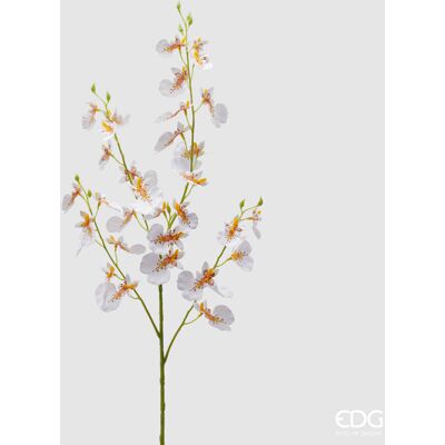 EDG Enzo De Gasperi Orchidea Oncidium Ramo X4 Artificiale H 80 Cm White Yellow EDG Enzo De Gasperi Orchidea Oncidium Ramo X4 Artificiale H 80 Cm White Yellow