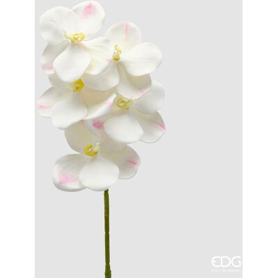 EDG Enzo De Gasperi Orchidea Vanda Ramo H 65 Cm Pianta Artificiale Avorio EDG Enzo De Gasperi Orchidea Vanda Ramo H 65 Cm Pianta Artificiale Avorio