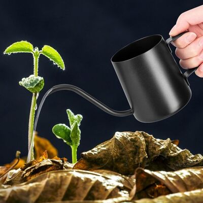 Neptune Annaffiatoio Nero 250 Ml - Piccolo Annaffiatoio Per Piante Da Interno - Acciaio Inossidabile - Beccuccio Lungo - Annaffiatoio Da Giardino Per Piante Da Interno E Piante Grasse Neptune Annaffiatoio Nero 250 Ml - Piccolo Annaffiatoio Per Piante Da Interno - Acciaio Inossidabile - Beccuccio Lungo - Annaffiatoio Da Giardino Per Piante Da Interno E Piante Grasse