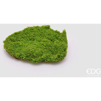 EDG Enzo De Gasperi Muschio Zolla Artificiale H 5 Cm D 20 Cm Verde EDG Enzo De Gasperi Muschio Zolla Artificiale H 5 Cm D 20 Cm Verde