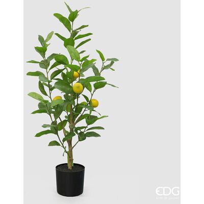 EDG Enzo De Gasperi Limone Vogue X4 Con Vaso Pianta Artificiale H 97 Cm Verde Giallo EDG Enzo De Gasperi Limone Vogue X4 Con Vaso Pianta Artificiale H 97 Cm Verde Giallo