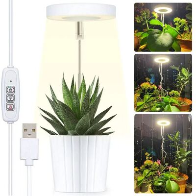 AULEDIO Lampada Led Per Piante A Spettro Completo Per Piante Da Interno, Luce Di Crescita Regolabile In Altezza, 3 Livelli Di Luminosità, Timer Automatico 2/4/8 H, Per Piante Piccole AULEDIO Lampada Led Per Piante A Spettro Completo Per Piante Da Interno, Luce Di Crescita Regolabile In Altezza, 3 Livelli Di Luminosità, Timer Automatico 2/4/8 H, Per Piante Piccole