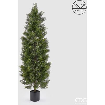 EDG Enzo De Gasperi Pianta Artificiale Cipresso H 180 Cm Verde Con Vaso – Anti Uv Per Interno Ed Esterno EDG Enzo De Gasperi Pianta Artificiale Cipresso H 180 Cm Verde Con Vaso – Anti Uv Per Interno Ed Esterno