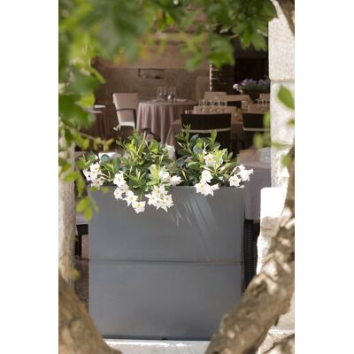 VECA - Fioriera In Resina 'patio' 80 Cm. Bianco VECA - Fioriera In Resina 'patio' 80 Cm. Bianco