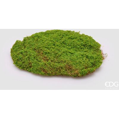 EDG Enzo De Gasperi Muschio Zolla Artificiale H 5 Cm D 30 Cm Verde EDG Enzo De Gasperi Muschio Zolla Artificiale H 5 Cm D 30 Cm Verde