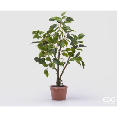 EDG Enzo De Gasperi Ficus Con Vaso Artificiale H 60 Cm Green EDG Enzo De Gasperi Ficus Con Vaso Artificiale H 60 Cm Green